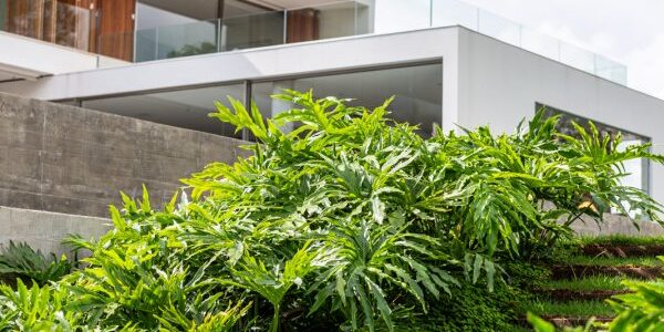 IMG_0710-qui1hhhne2bqeuhlcrroo6ny1i3p72jotsde7nlg2c