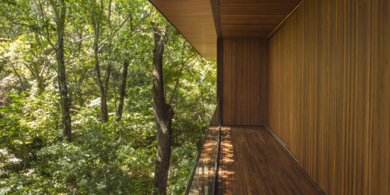 vg+a casadamata frontfilmes (27)